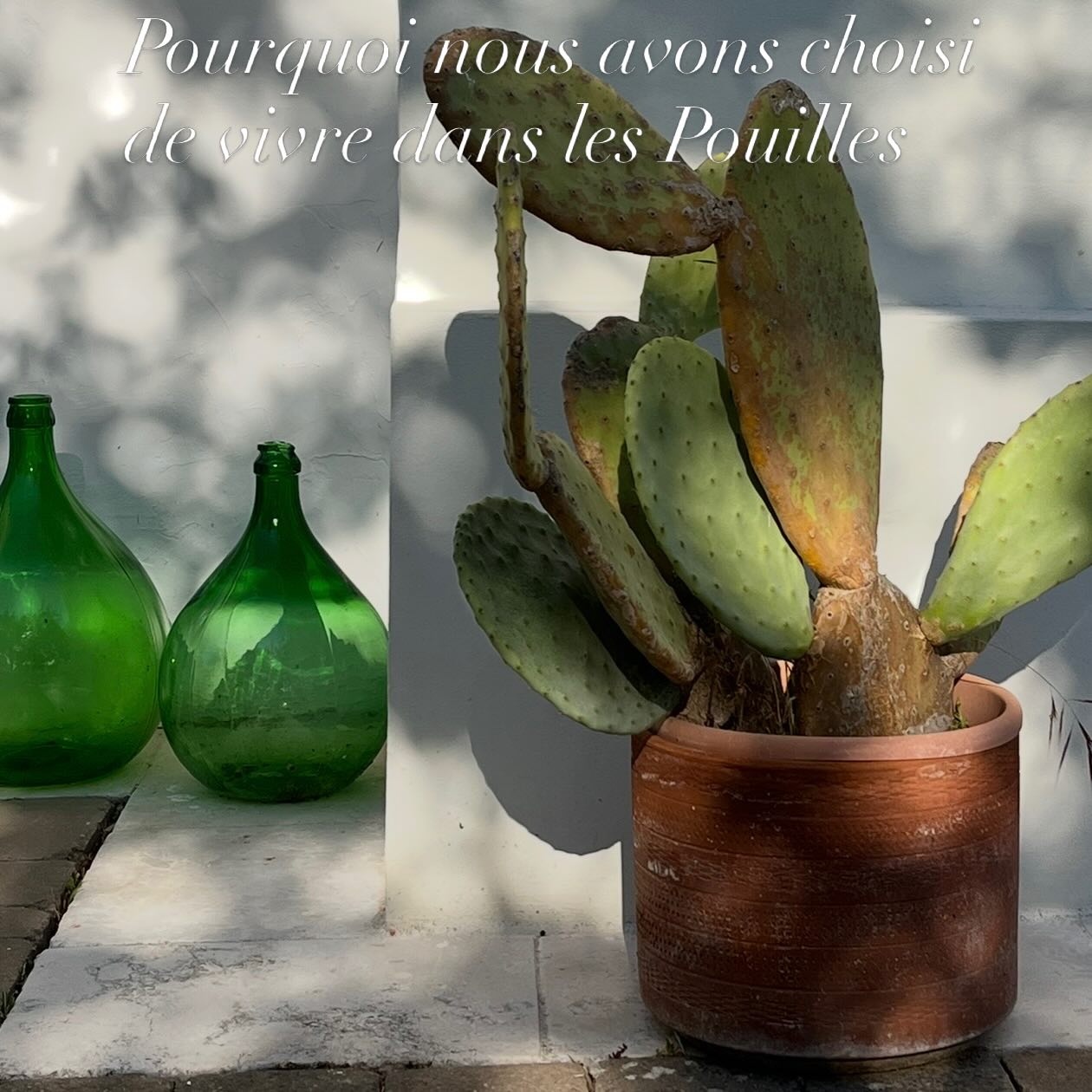 ☀️🍋A l’approche des vacances, j’ai envie de vous parler d’autre chose. Quelque chose qui me touche personnellement.
C’est officiel: on est installés dans les Pouilles.
Je vous raconte pourquoi ce choix s’est imposé à nous, ce que cette région a de si magnétique, et pourquoi elle fait écho à tout ce que nous construisons depuis des années autour de la #slowlife, la slow deco et de “designer de bonheur”.
Tout est dans le nouvel article juste ici 👉 Pourquoi nous avons choisi de nous installer dans les Pouilles
À très vite pour la suite de l’aventure italienne 🌿
Lien dans la bio #italy #puglia #pouilles 
https://apprendre-a-decorer-autrement.com/pourquoi-nous-avons-choisi-de-vivre-dans-les-pouilles/